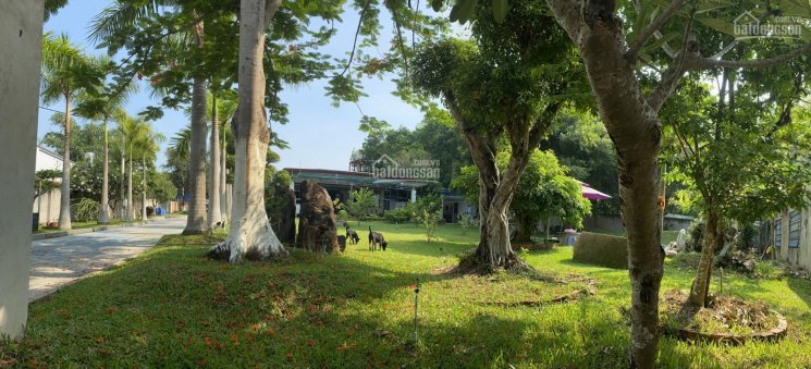 Bán nhà vườn tại Củ Chi, xã An Nhơn Tây 5000m2 có 3000m2 thổ cư