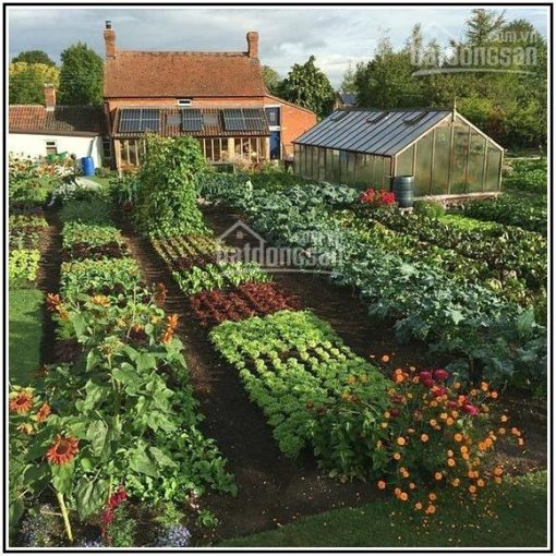 Dành cho những ai muốn sở hữu Homefarm - Nhà vườn