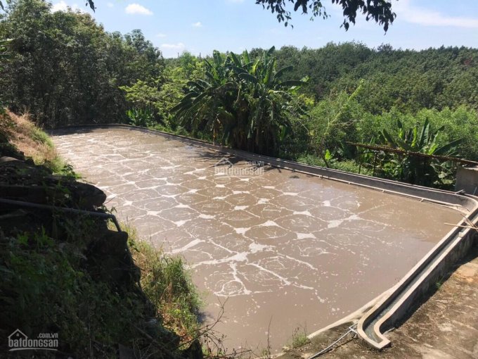 Cần bán nhà máy chế biến mủ cao su Giang Sơn, 2.4ha, đang hoạt động tốt, pháp lý rõ ràng