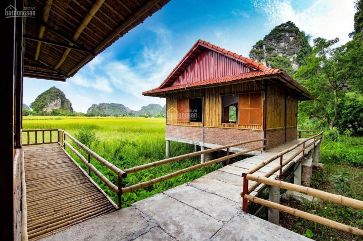 Chính chủ cần bán khu homestay thôn Khê Thượng, xã Ninh Xuân, huyện Hoa Lư, Ninh Bình, 0981896789