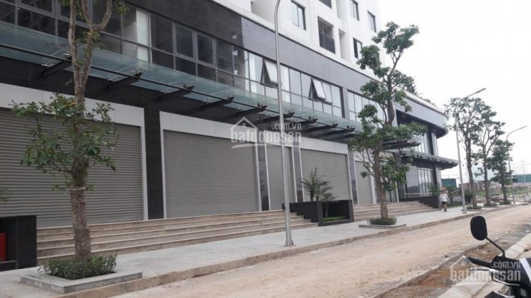 Bán 3 căn shophouse (Gian hàng ki ốt) trung tâm thương mại dự án Ecolife Tây Hồ