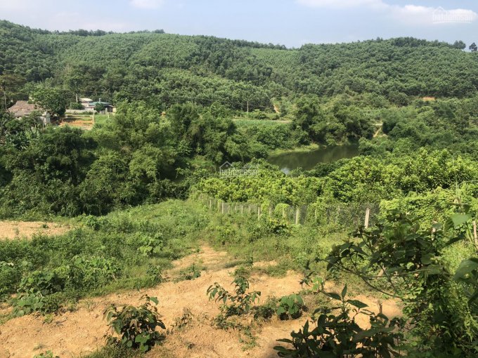 Cần bán 2,1ha đất trang trại mặt sông view tuyệt đẹp tại xã Bình Sơn, Kim Bôi