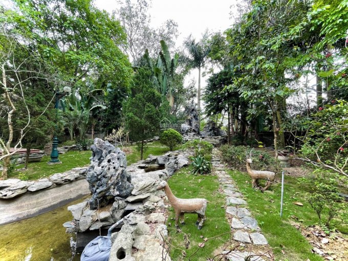 Đẹp độc lạ khuôn viên siêu đẹp còn sót lại tại Lương Sơn, Hoà Bình 4139m2 có 400m2 thổ cư