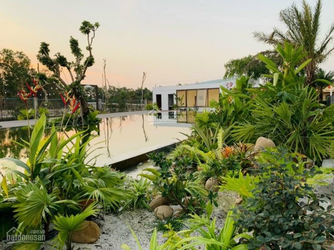Nhà vườn cạnh biển Lộc An, 416m2, đã có sổ hồng, NH hộ trợ 70%