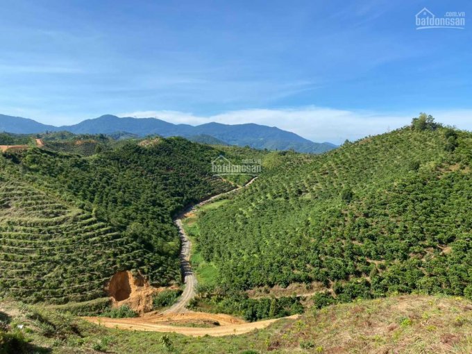 Chính chủ cần bán lô đất view cực đẹp xã Đại Lào, Bảo Lộc, diện tích 27000m2. LH: 0907464215