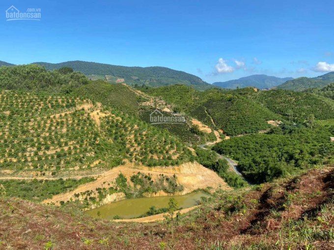 Chính chủ cần bán lô đất view cực đẹp xã Đại Lào, Bảo Lộc, diện tích 27000m2. LH: 0907464215
