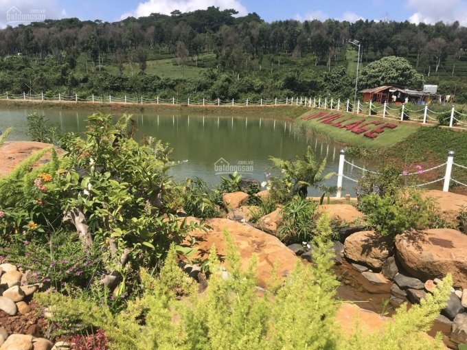 Bán đất nghỉ dưỡng Bảo Lâm Bảo Lộc giá rẻ 250-500m2 thổ cư sổ sẵn view hồ Đồi Thông