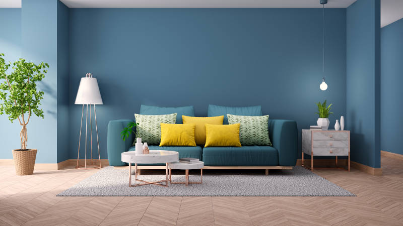 sofa màu xanh dương trên nền tường xanh dương