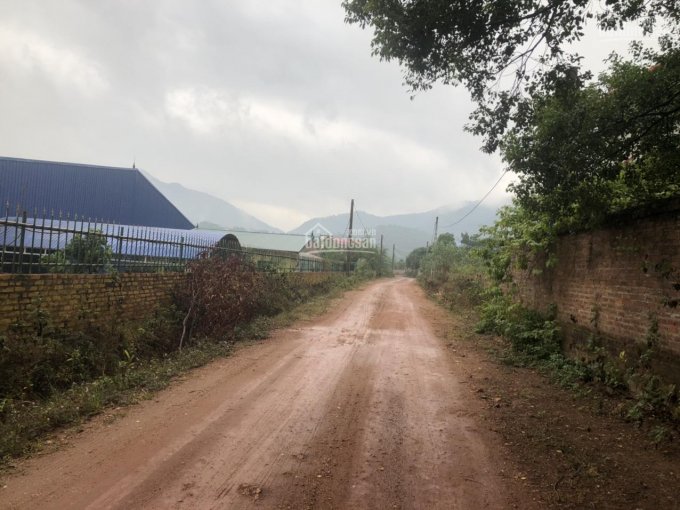 Chính chủ bán 1ha - 10000m2 kho xưởng, có sẵn nhà điều hành xưởng 500m2 giá 7 tỷ, có bán 1 nửa