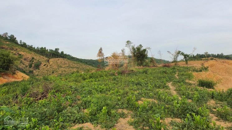 Bán nhanh 4700m2 đất nghỉ dưỡng view thoáng đẹp tại Lương Sơn