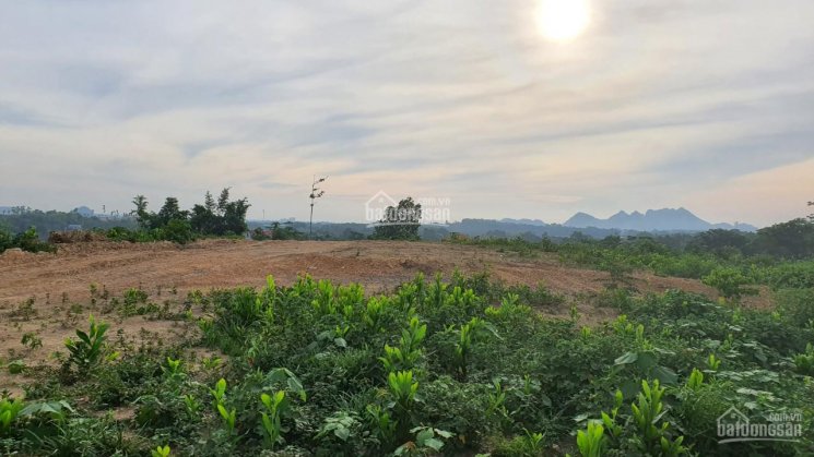 Bán nhanh 4700m2 đất nghỉ dưỡng view thoáng đẹp tại Lương Sơn