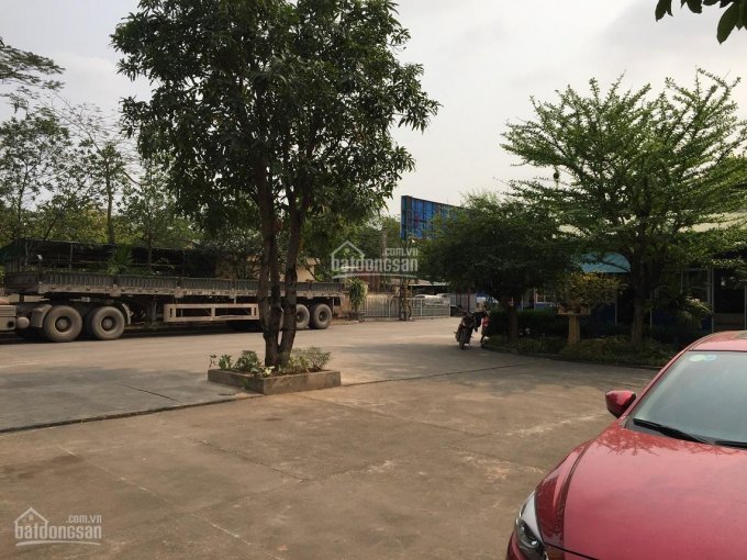 Cho thuê kho xưởng giá ưu đãi tại Trần Vỹ - Mai Dịch - Hà Nội