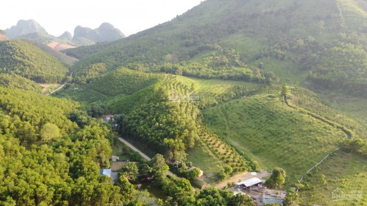 Siêu phẩm nhà em với diện tích 2,4ha có 800m thổ cư tại Kim Bôi-Hoà Bình