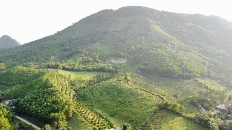 Siêu phẩm nhà em với diện tích 2,4ha có 800m thổ cư tại Kim Bôi-Hoà Bình