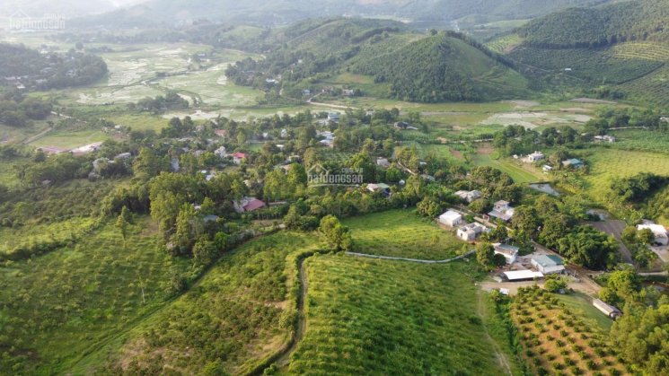 Siêu phẩm nhà em với diện tích 2,4ha có 800m thổ cư tại Kim Bôi-Hoà Bình