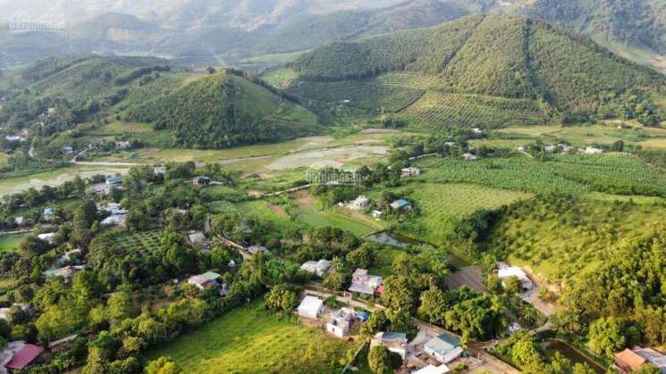 Siêu phẩm nhà em với diện tích 2,4ha có 800m thổ cư tại Kim Bôi-Hoà Bình