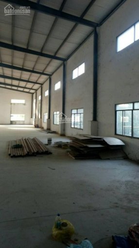 Chính chủ bán gấp xưởng 51.346m2 trong khu công nghiệp Bình Sơn
