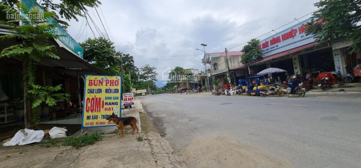 Bán gấp đất TT Lam Sơn, Huyện Thọ Xuân, tỉnh Thanh Hóa - 2650m2 - Miễn TG