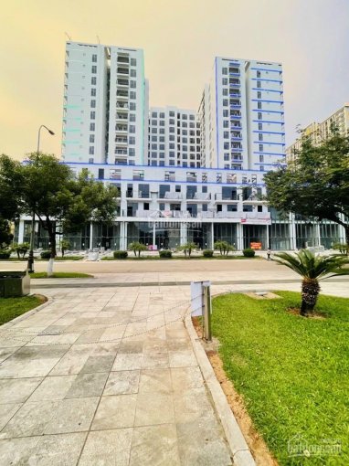 Bán chung cư cao cấp Dabaco Lý Thái Tổ - Lotus Central - view bể bơi, CK 2% từ CĐT