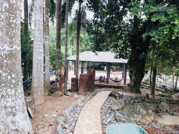 Bán gấp khu du lịch và nghỉ dưỡng biệt thự Mimosa - mặt tiền Quốc Lộ 20 179m dài