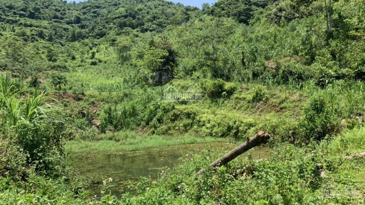 BÁN ĐẤT KIM BÔI 1,6HA BÁM SUỐI TRONG ĐẤT,THÍCH HỢP LÀM TRANG TRẠI GIA ĐÌNH CÁCH HN CHỈ 65KM