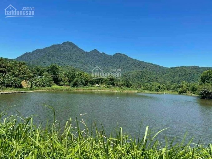 Cần chuyển nhượng gấp 5110 m2 đất bám mặt hồ tại Vân Hòa Ba vì Hà Nội 
