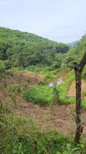 Cần chuyển nhượng gấp 3 ha đất rừng sản xuất giá rẻ tại Cao Phong Hòa Bình 