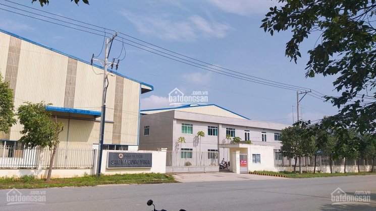 Bán xưởng gần QL13 2MT Vĩnh Phú, Thuận An, Bình Dương. TDT 2500m2 ngay Tân Hiệp Phát. Giá 50 tỷ TL
