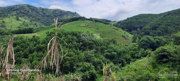 Nhanh tay sở hữu lô đất 1,5 ha tuyệt đẹp tại Cao phong Hòa Bình 