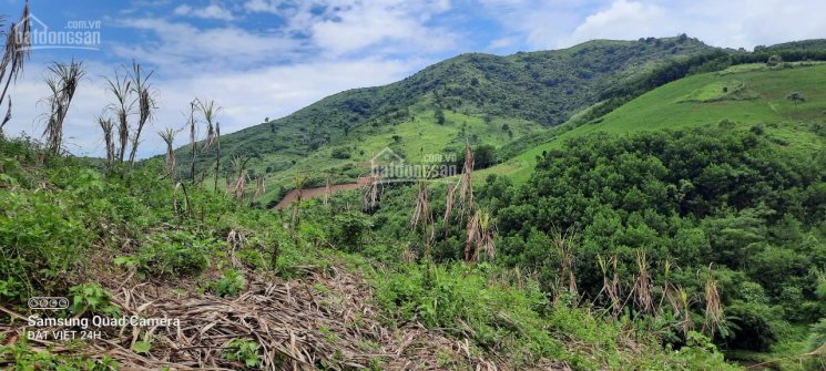 Nhanh tay sở hữu lô đất 1,5 ha tuyệt đẹp tại Cao phong Hòa Bình 