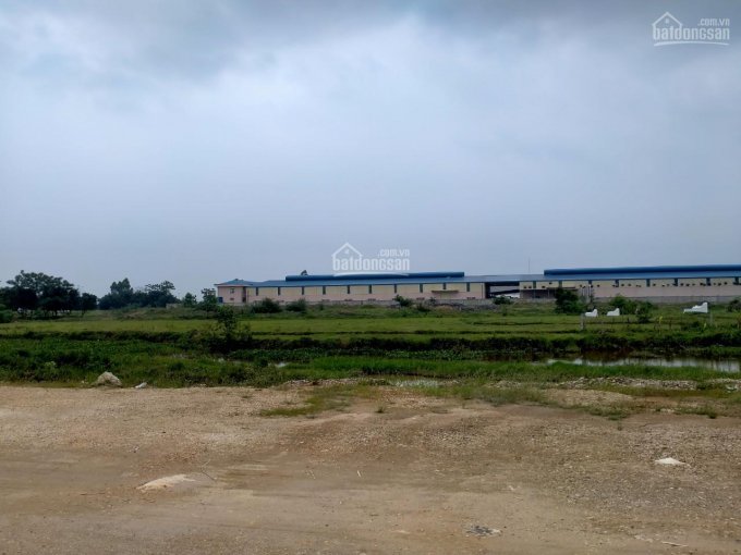 Bán đất trong khu công nghiệp Bình Xuyên dt 6000m, đã san lấp khu vực Bình Xuyên, Vĩnh Phúc