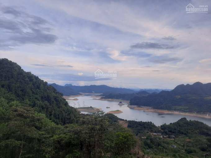 Cần chuyển nhượng gấp 10533m2 đất rừng sản xuất bám mặt hồ tại xã Hiền Lương Đà Bắc Hòa Bình 