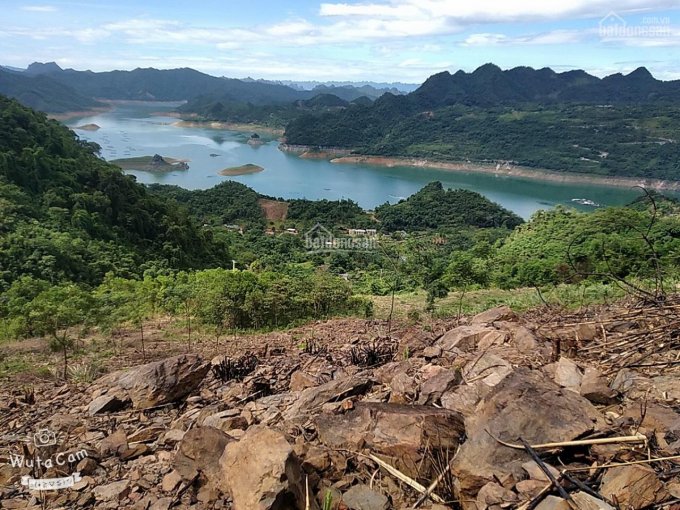 Cần chuyển nhượng gấp 10533m2 đất rừng sản xuất bám mặt hồ tại xã Hiền Lương Đà Bắc Hòa Bình 