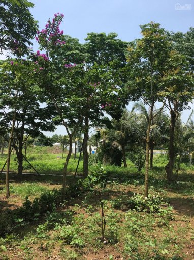 Chính chủ cần cho thuê biệt thự Mimosa Ecopark, Hưng Yên