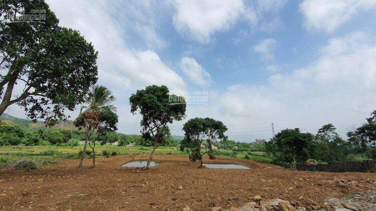 Cần chuyển nhượng gấp 6200m2 đất thổ cư làm nghỉ dưỡng sinh thái tại Lương Sơn Hòa Bình 