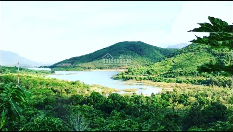 Mini farm hồ Tà Rục - Cam Sơn gần Cam Ranh