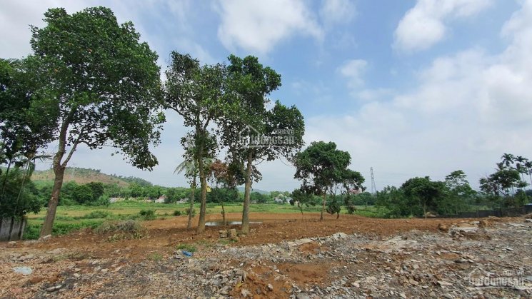 Cần chuyển nhượng gấp 6200m2 đất thổ cư làm nghỉ dưỡng sinh thái tại Lương Sơn Hòa Bình 