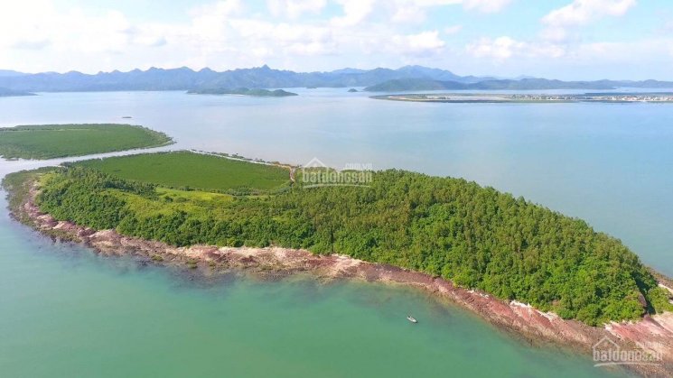 22ha đất đảo Quan Lạn, Vân Đồn, Quảng Ninh, 4 mặt giáp biển cực kỳ đắc địa
