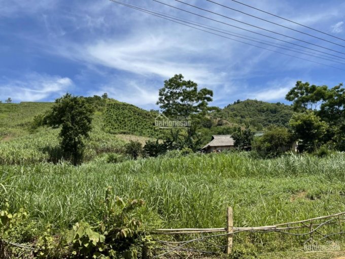 HÀNG HIẾM GIÁ TỐT CHỈ HƠN 600TR CÓ NGAY 1780M VIEW HỒ CỰC ĐẸP TẠI CAO PHONG - HÒA BÌNH