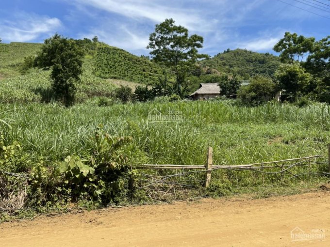 HÀNG HIẾM GIÁ TỐT CHỈ HƠN 600TR CÓ NGAY 1780M VIEW HỒ CỰC ĐẸP TẠI CAO PHONG - HÒA BÌNH