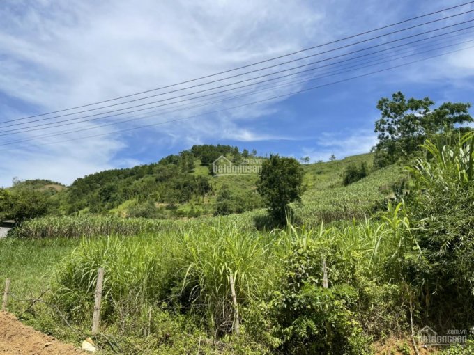 HÀNG HIẾM GIÁ TỐT CHỈ HƠN 600TR CÓ NGAY 1780M VIEW HỒ CỰC ĐẸP TẠI CAO PHONG - HÒA BÌNH