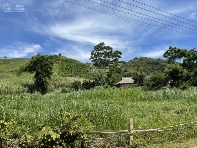 CHỈ NHỈNH 600TR CÓ NGAY 1780M VIEW HỒ CỰC ĐẸP TẠI CAO PHONG  HÒA BÌNH