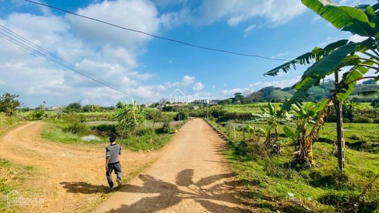 Nhượng gấp 5148m2 đất thổ cư giá rẻ huyện Cao Phong, Hoà Bình
