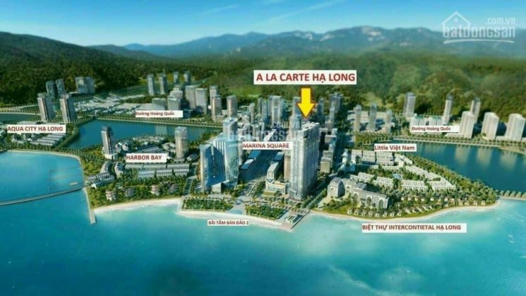 Tầng cao view biển, suất ngoại giao dự án A La Carte Hạ Long, lợi nhuận 450 triệu/năm