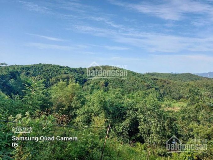 Hàng hiếm giá rẻ 1580m2 có thổ cư, suối thác trong đất, view cánh đồng tại Tân Lạc, Hoà Bình