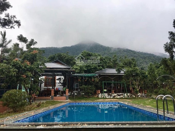 Bán nhà vườn, homestay xã Minh Trí, Sóc Sơn, Hà Nội. Diện tích 3700m2, liên hệ 0903283328