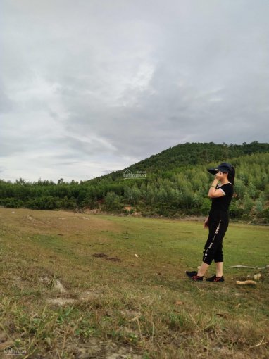 Bán 36100m2 đất đồi phù hợp chăn nuôi-trồng cây tại Nghi Lộc