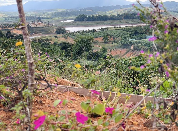 Đất nghỉ dưỡng view hồ Đại Ninh