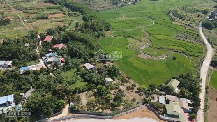 Chính chủ cần chuyển nhượng gấp 3634m2 đất nghỉ dưỡng tại Lương Sơn Hòa Bình 
