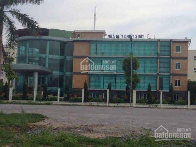 Bán nhà máy của Dầu thực vật Quang Minh, diện tích 114.582m2, giá bán 170 tỷ thị trấn Lương Bằng